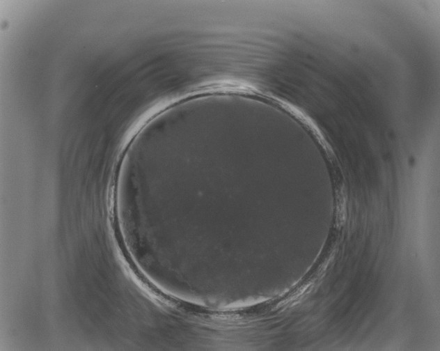 X0000084051383200702161456