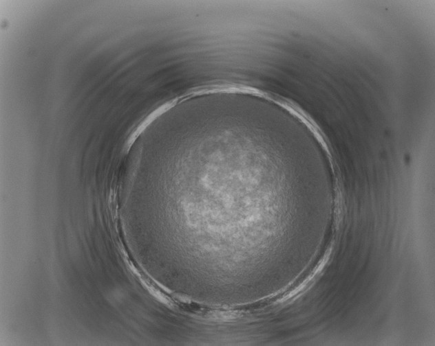 X0000084051385200702161456