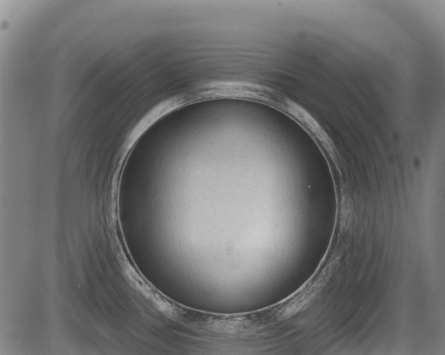 X0000084051386200702161456