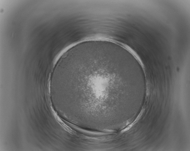 X0000084051388200702161456