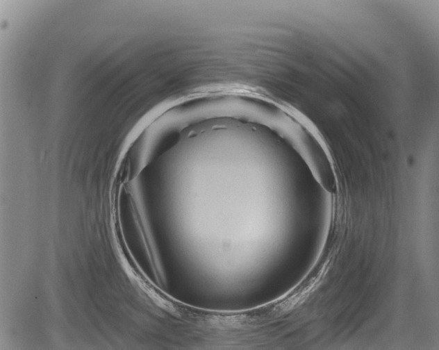 X0000084051389200702161456