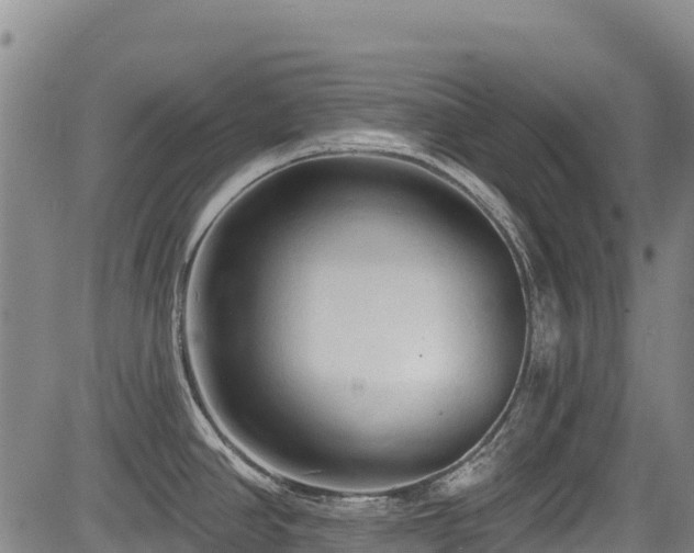 X0000084051390200702161456