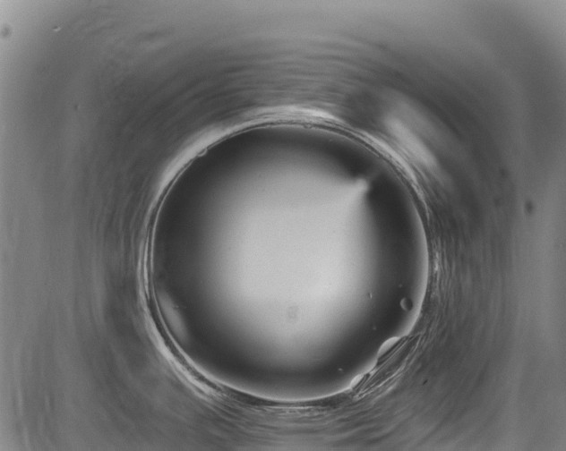 X0000084051391200702161456