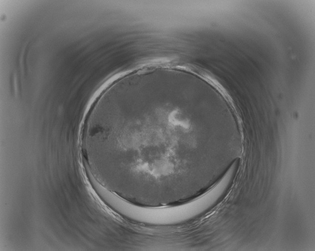 X0000084051392200702161456