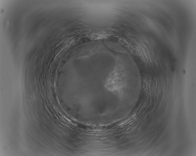 X0000084051393200702161455