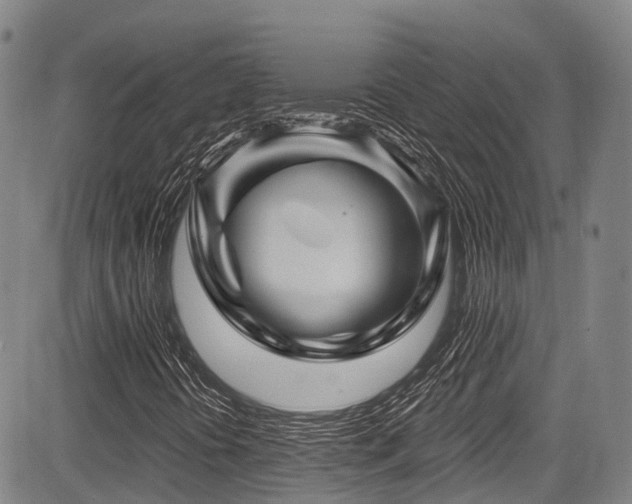 X0000084051394200702161455