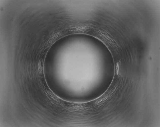 X0000084051395200702161455