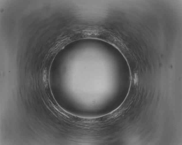 X0000084051396200702161455