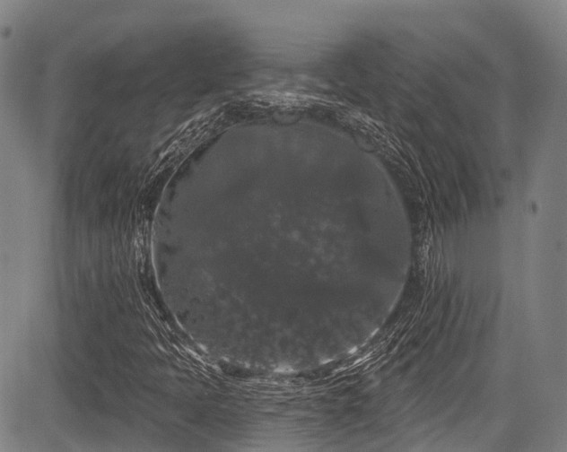 X0000084051397200702161455