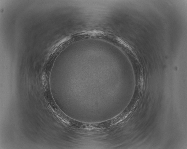 X0000084051398200702161455