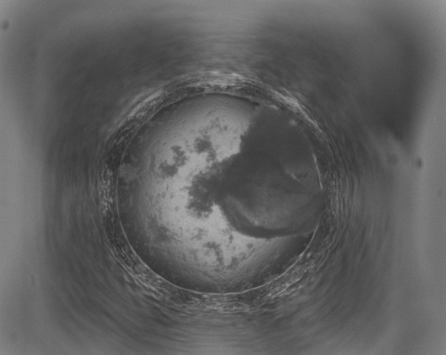 X0000084051399200702161455