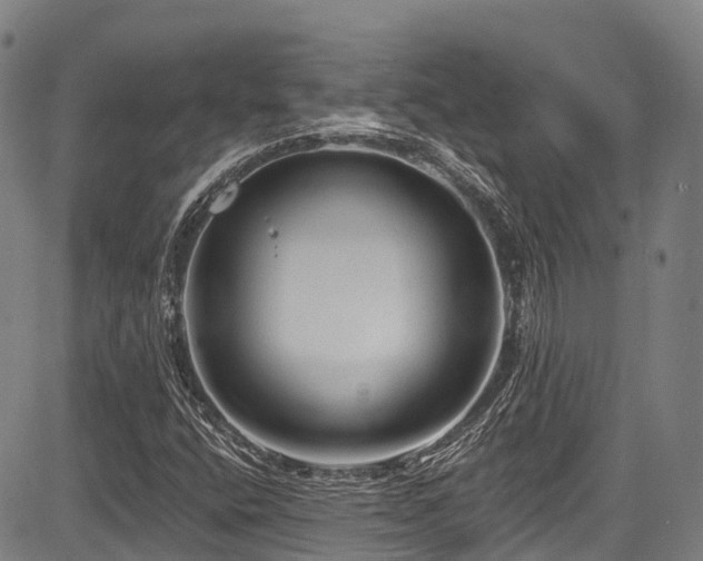 X0000084051400200702161455