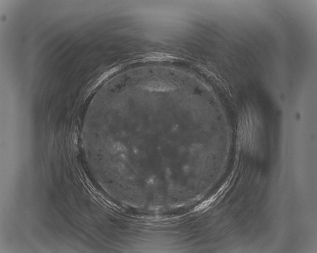 X0000084051401200702161455