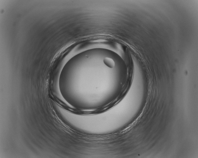 X0000084051402200702161455