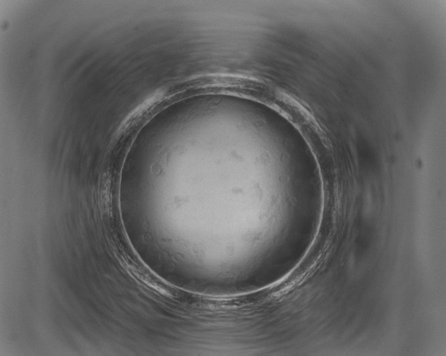 X0000084051403200702161455