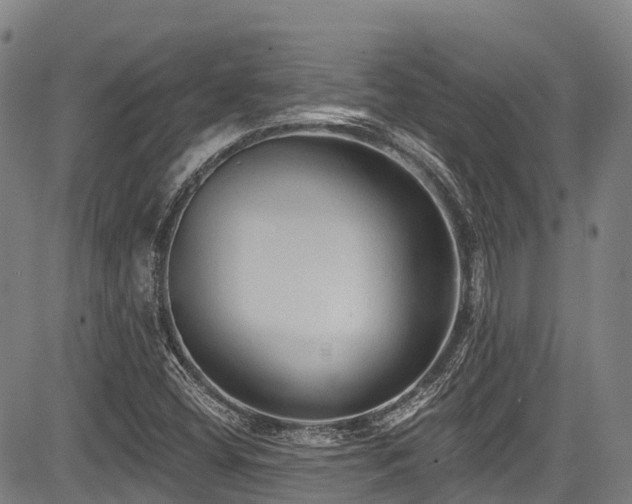 X0000084051404200702161455