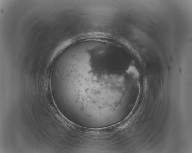 X0000084051405200702161455