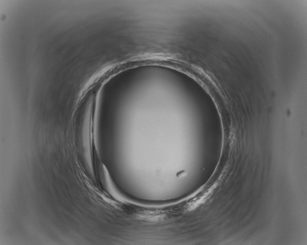 X0000084051406200702161455