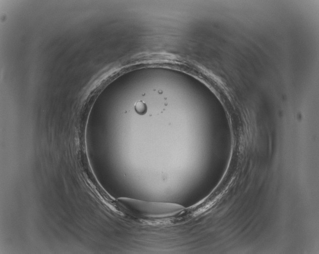 X0000084051407200702161455