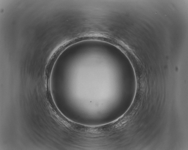 X0000084051408200702161455