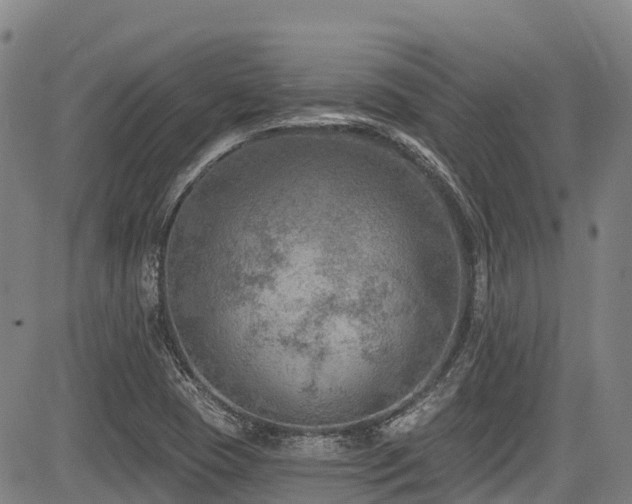 X0000084051409200702161455