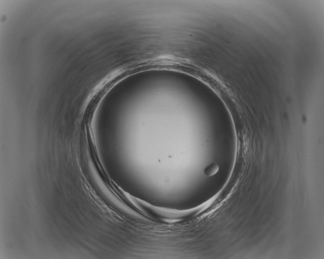 X0000084051410200702161455