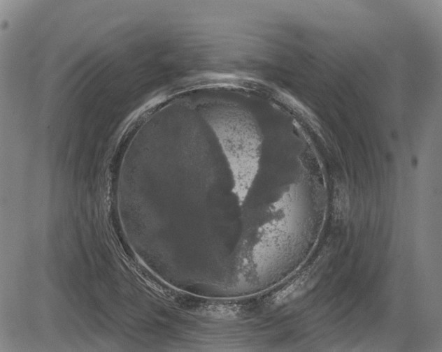 X0000084051411200702161455