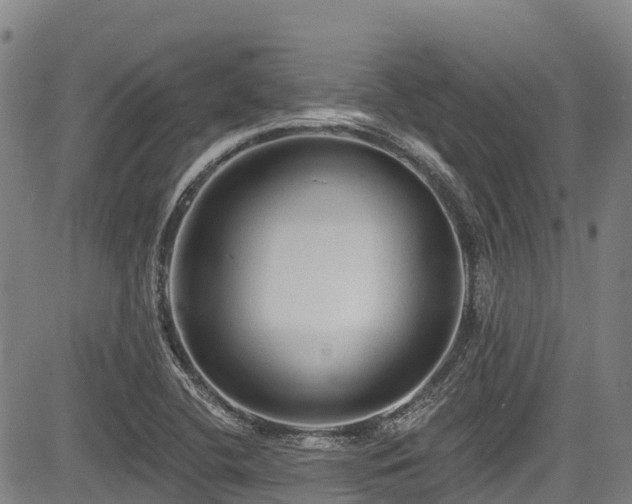 X0000084051412200702161455