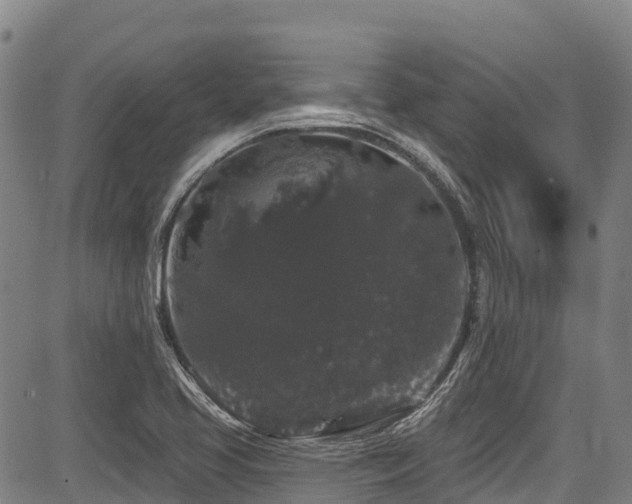 X0000084051413200702161455