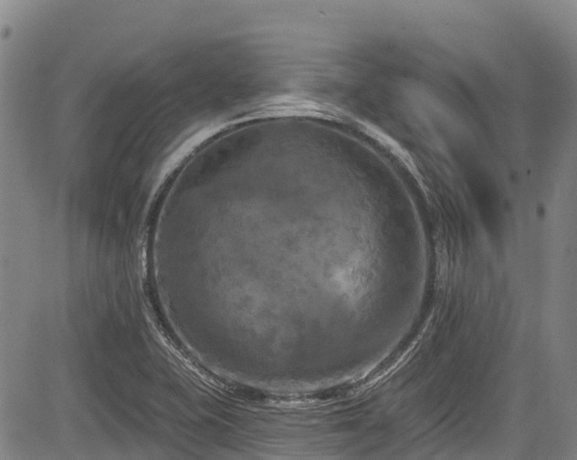 X0000084051415200702161455