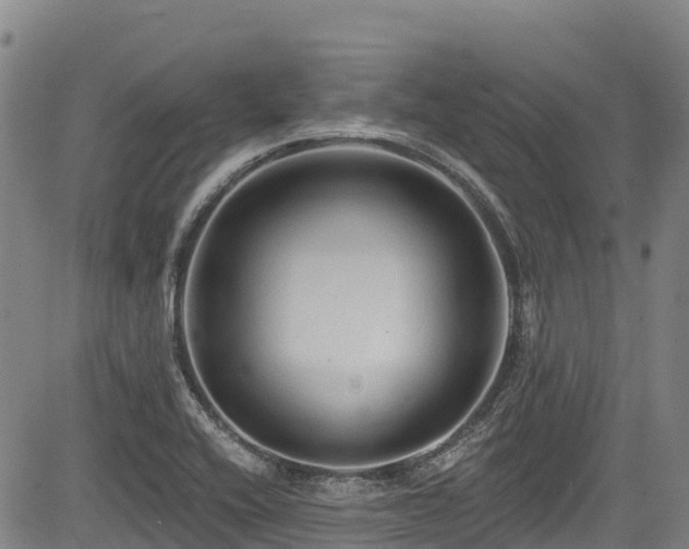 X0000084051416200702161455