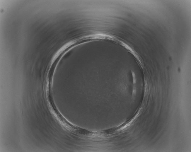 X0000084051418200702161455