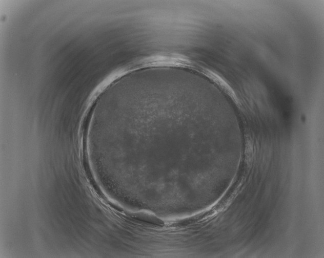 X0000084051419200702161455