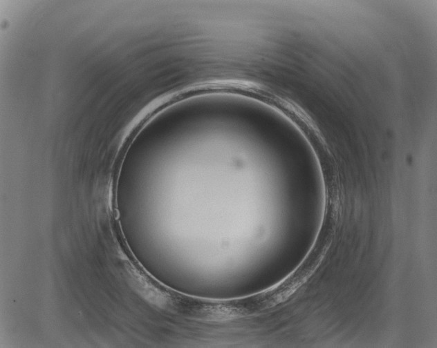 X0000084051420200702161455