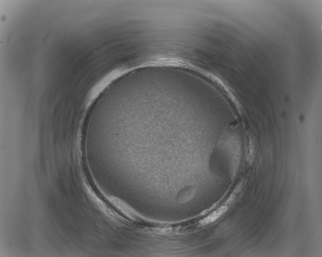 X0000084051422200702161455