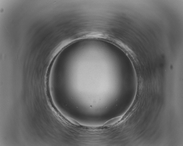 X0000084051423200702161455