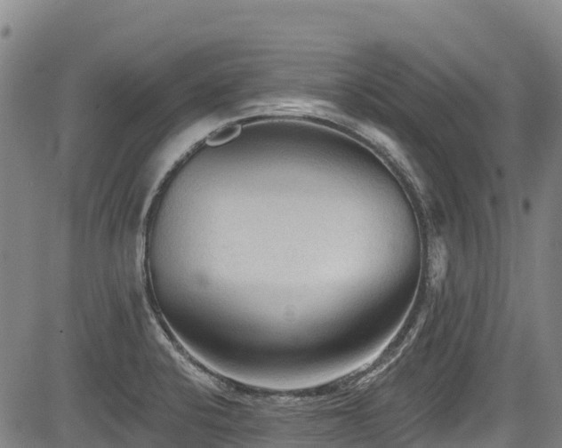 X0000084051424200702161455