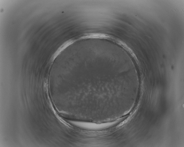 X0000084051425200702161455