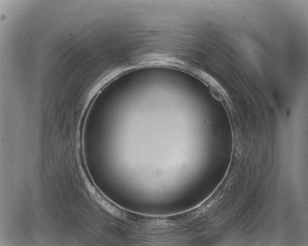 X0000084051431200702161456