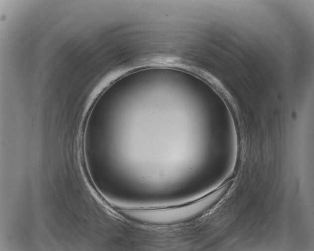 X0000084051432200702161456