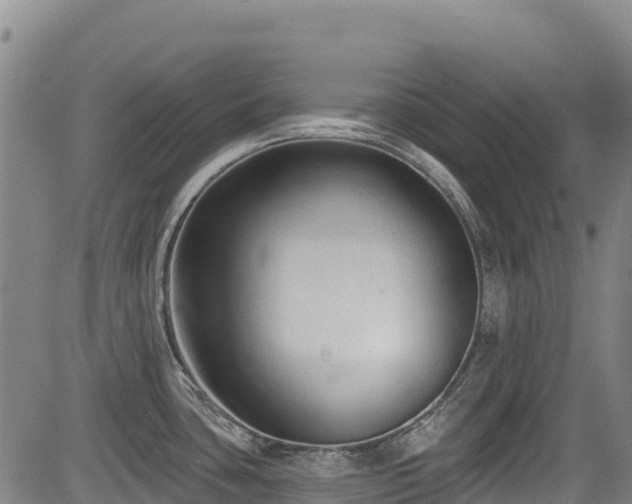 X0000084051435200702161456