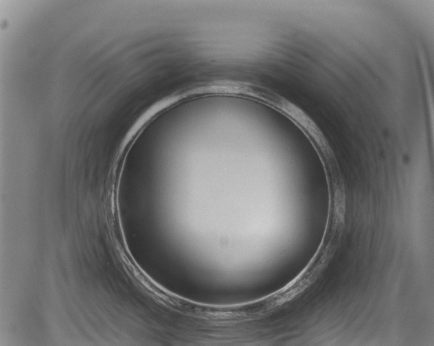 X0000084051436200702161456