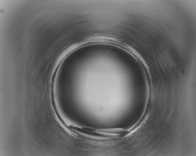 X0000084051437200702161456