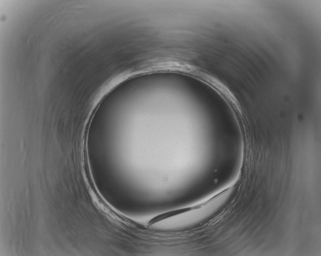 X0000084051439200702161456