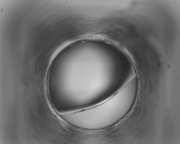 X0000084051440200702161456