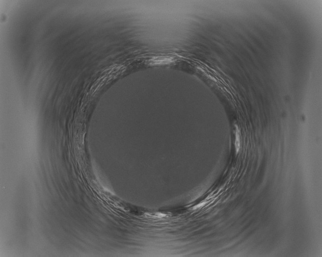 X0000084051441200702161455