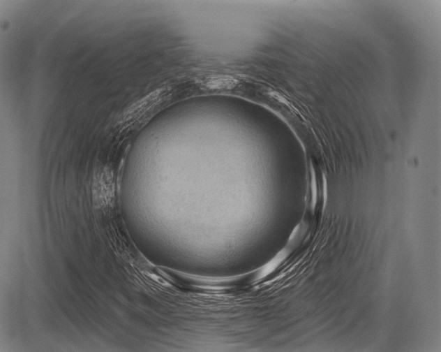 X0000084051443200702161455