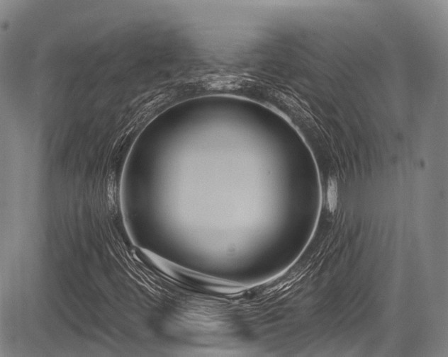 X0000084051444200702161455