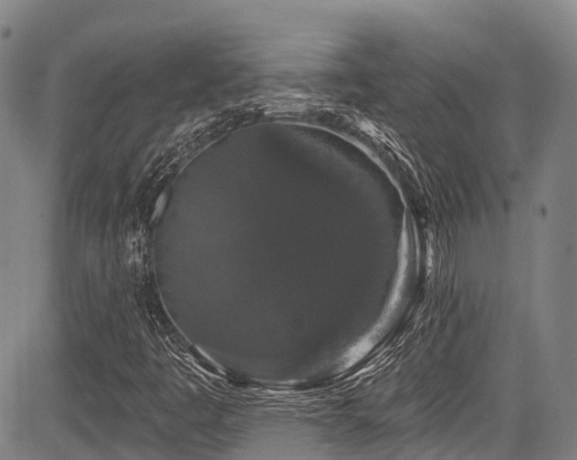 X0000084051445200702161455