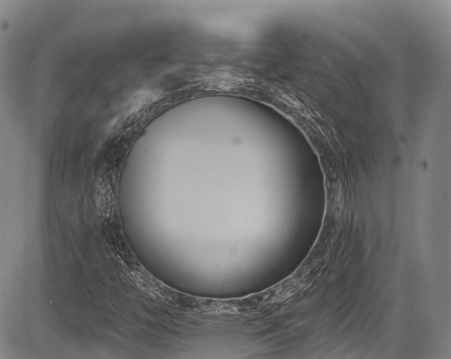 X0000084051446200702161455